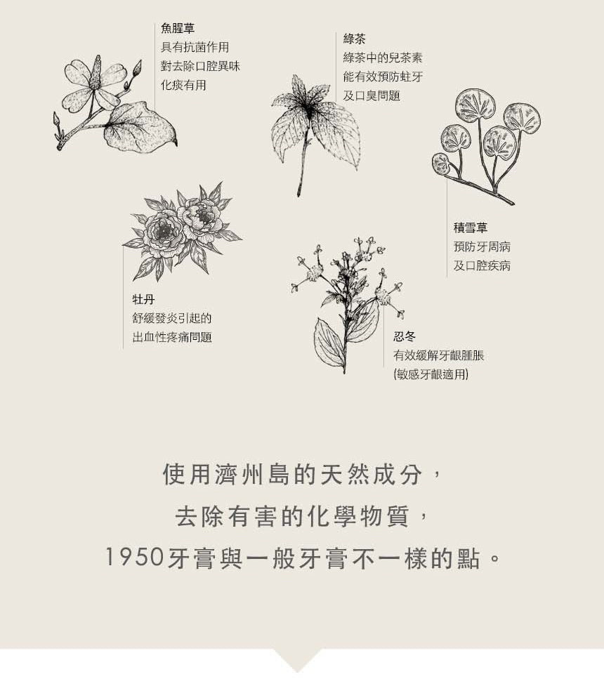 韓國1950|濟州天然有機牙膏 亮白薰衣草 90g