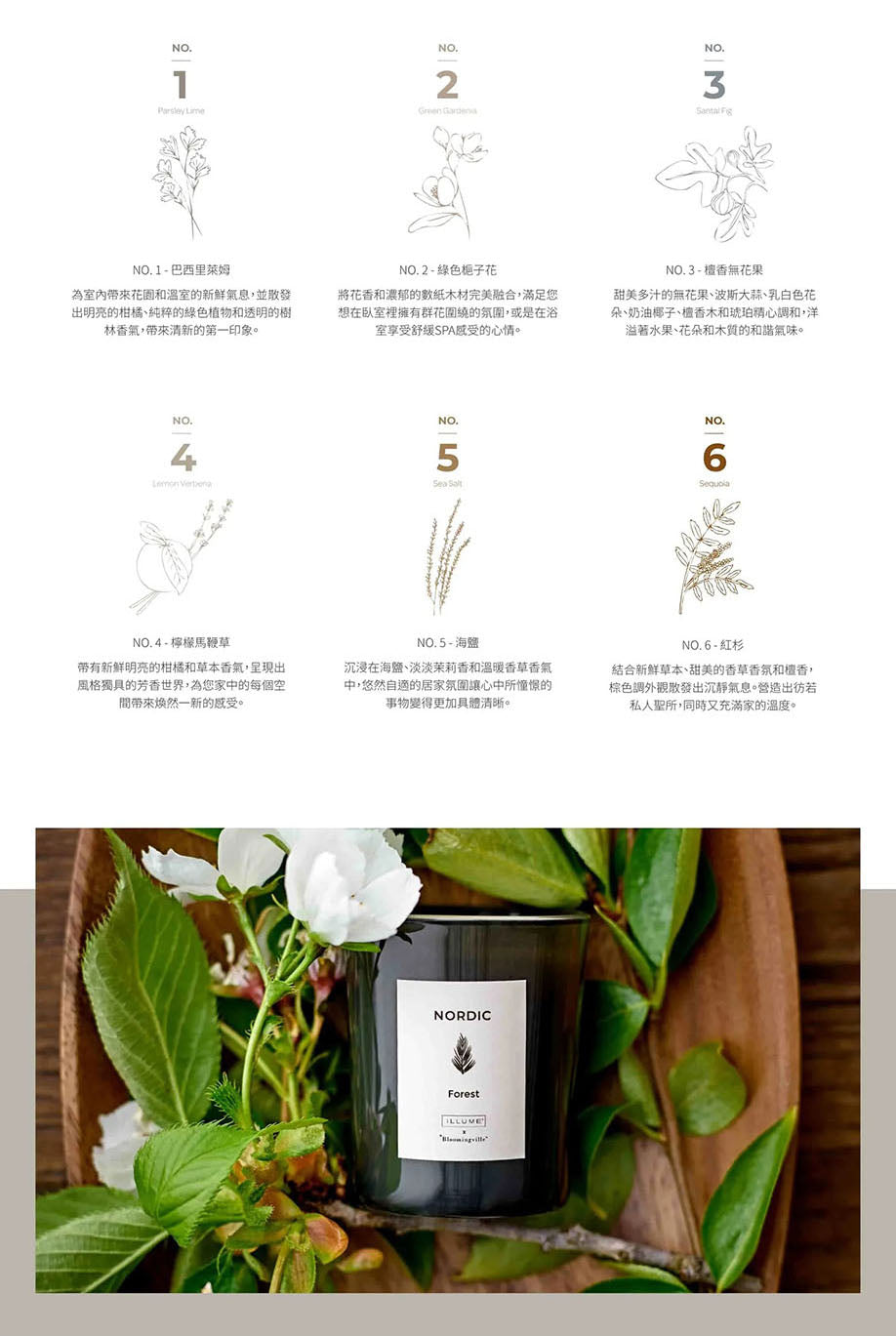 丹麥 ILLUME x Bloomingville|聯名擴香 NO. 6 紅杉
