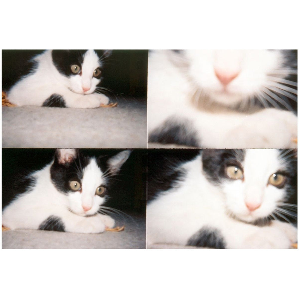 Lomography|ActionSampler Clear 四格底片相機