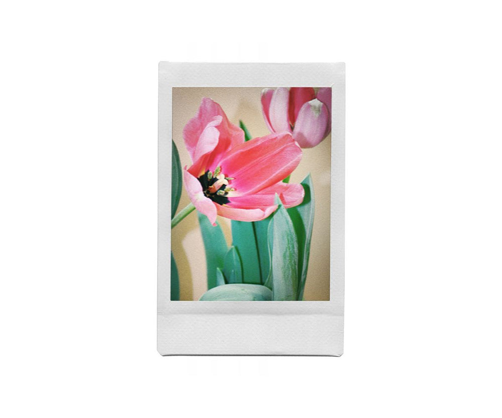 Lomography|Lomo'Instant 拍立得相機連鏡頭套組-Song-E 畫家調色盤版本