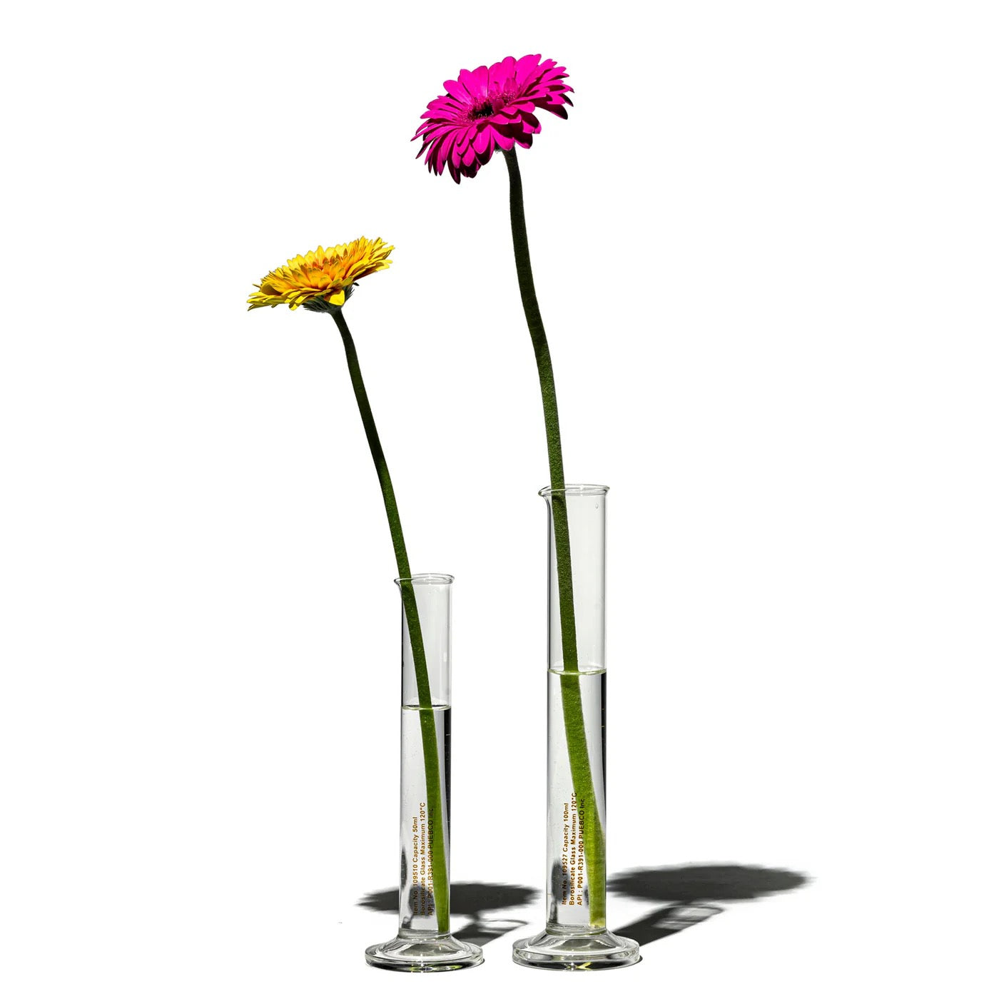PUEBCO｜SINGLE FLOWER VASE / 100ml / 單支花瓶
