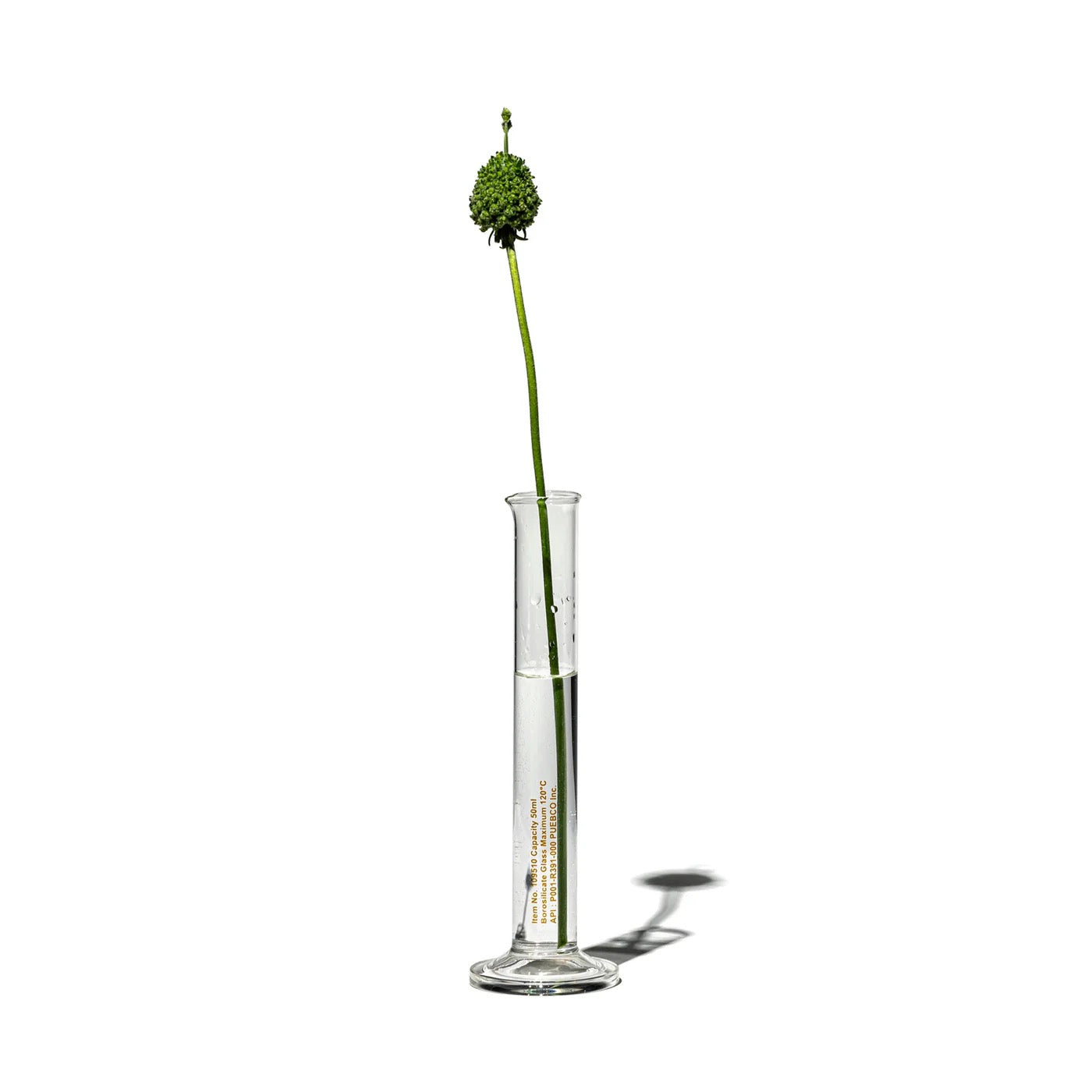 PUEBCO｜SINGLE FLOWER VASE / 50ml / 單支花瓶