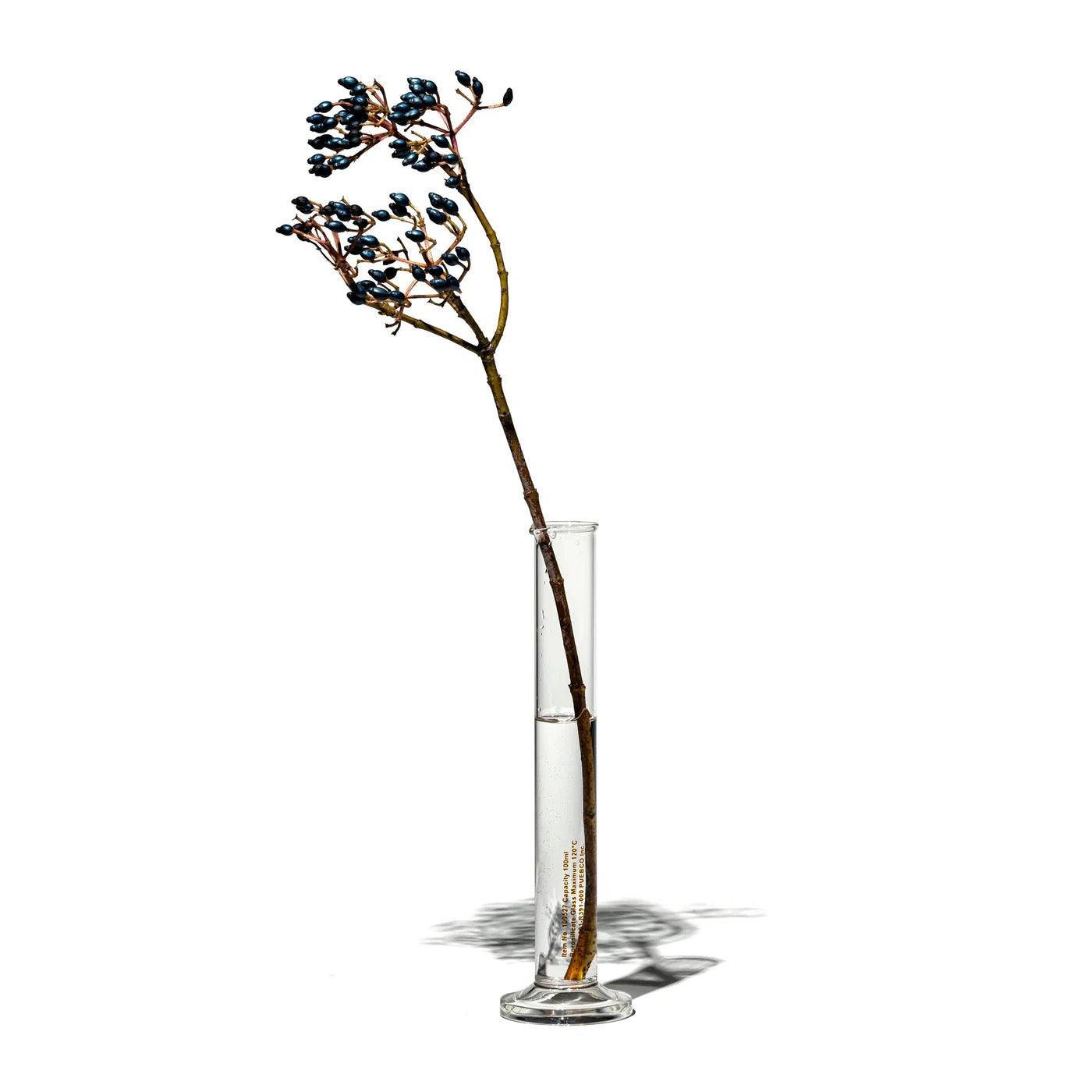 PUEBCO｜SINGLE FLOWER VASE / 100ml / 單支花瓶