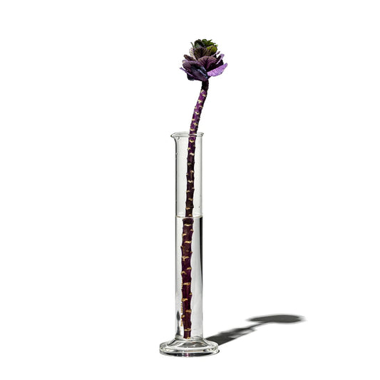 PUEBCO｜SINGLE FLOWER VASE / 100ml / 單支花瓶