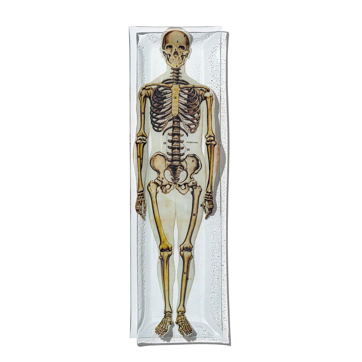 PUEBCO｜PRINTED GLASS TRAY / Skeleton