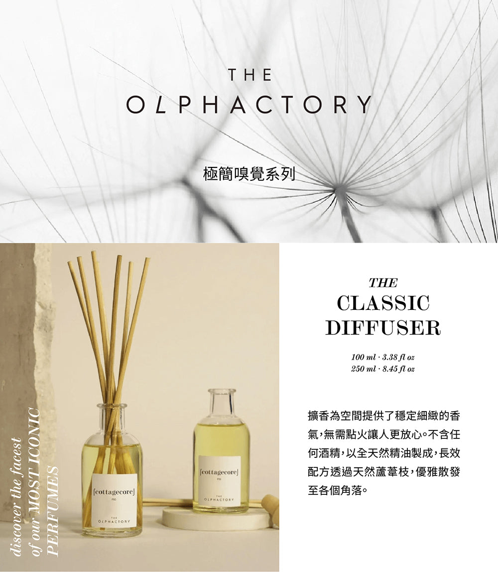 Ambientair｜極簡嗅覺擴香 250ml