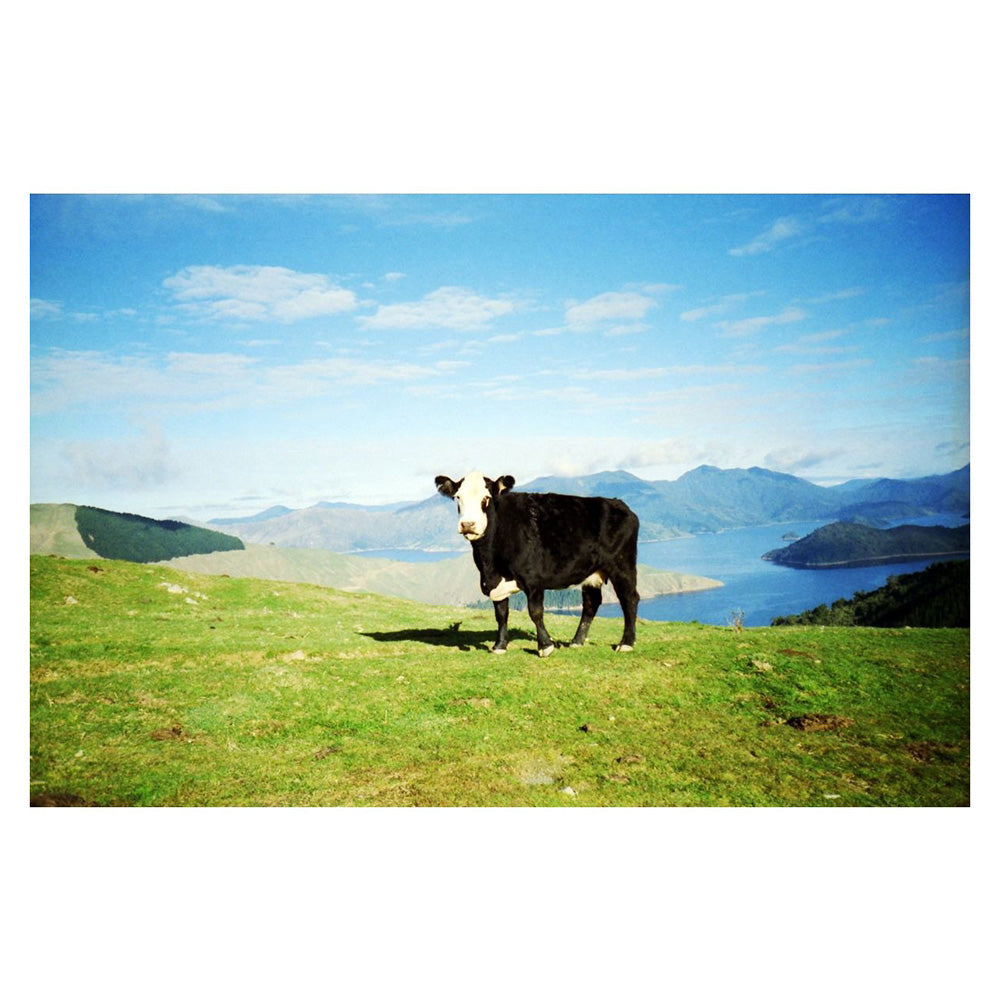 Lomography｜Lomography ISO 100 35mm 彩色負片（一盒 3 卷）