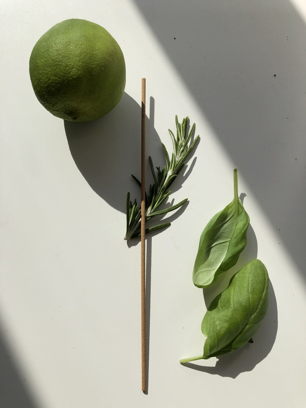 韓國 ØR-FIUME｜天然香氛線香 線香座組盒 50入