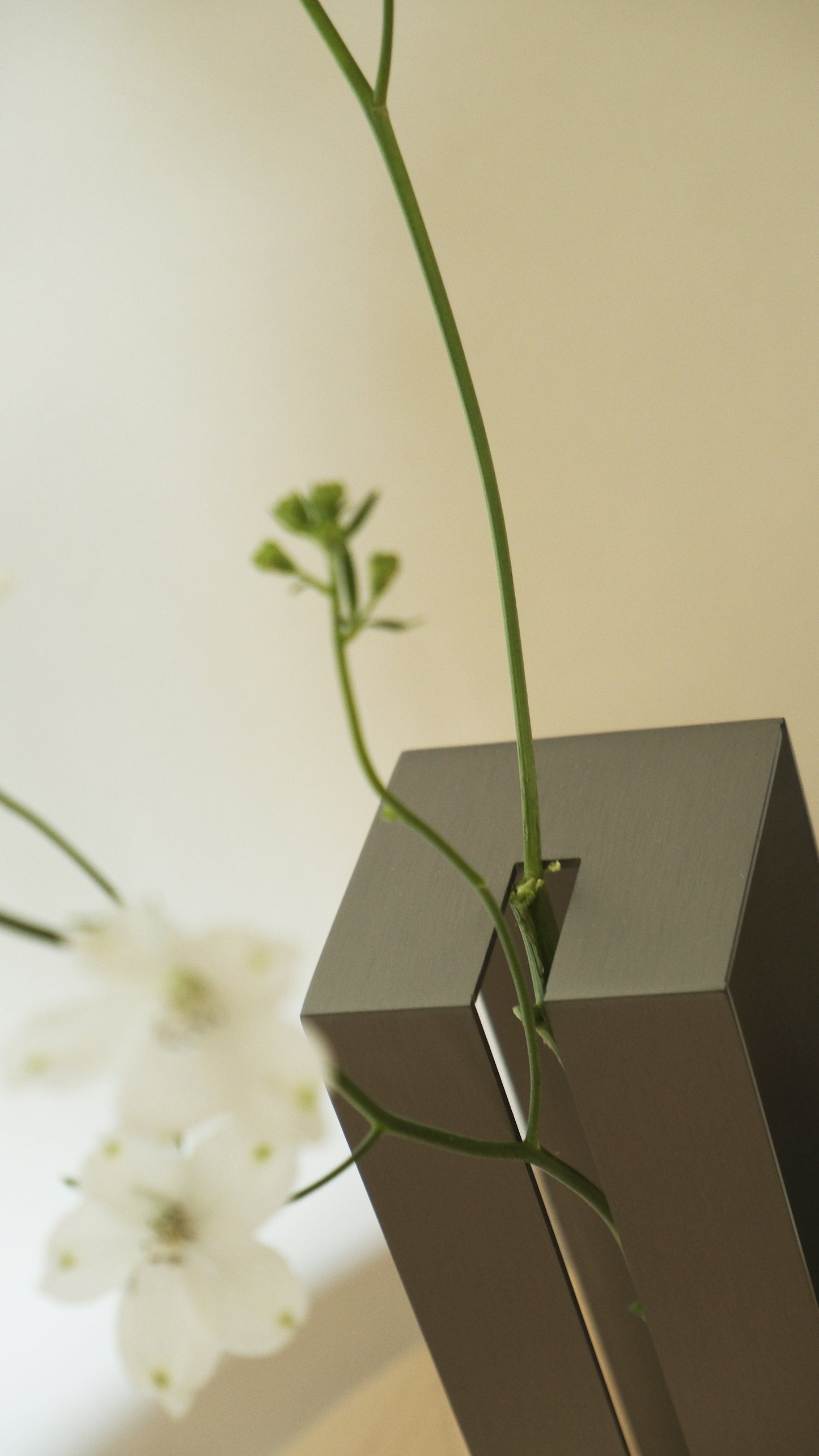 HALO｜Vase 01 花器