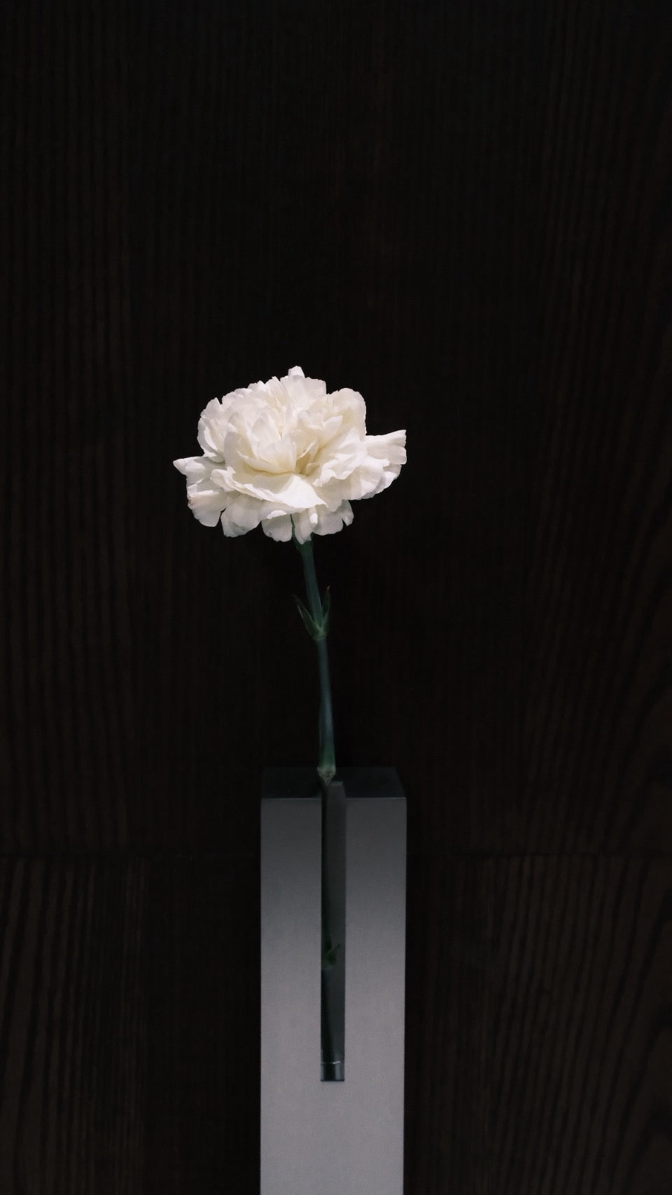 HALO｜Vase 01 花器