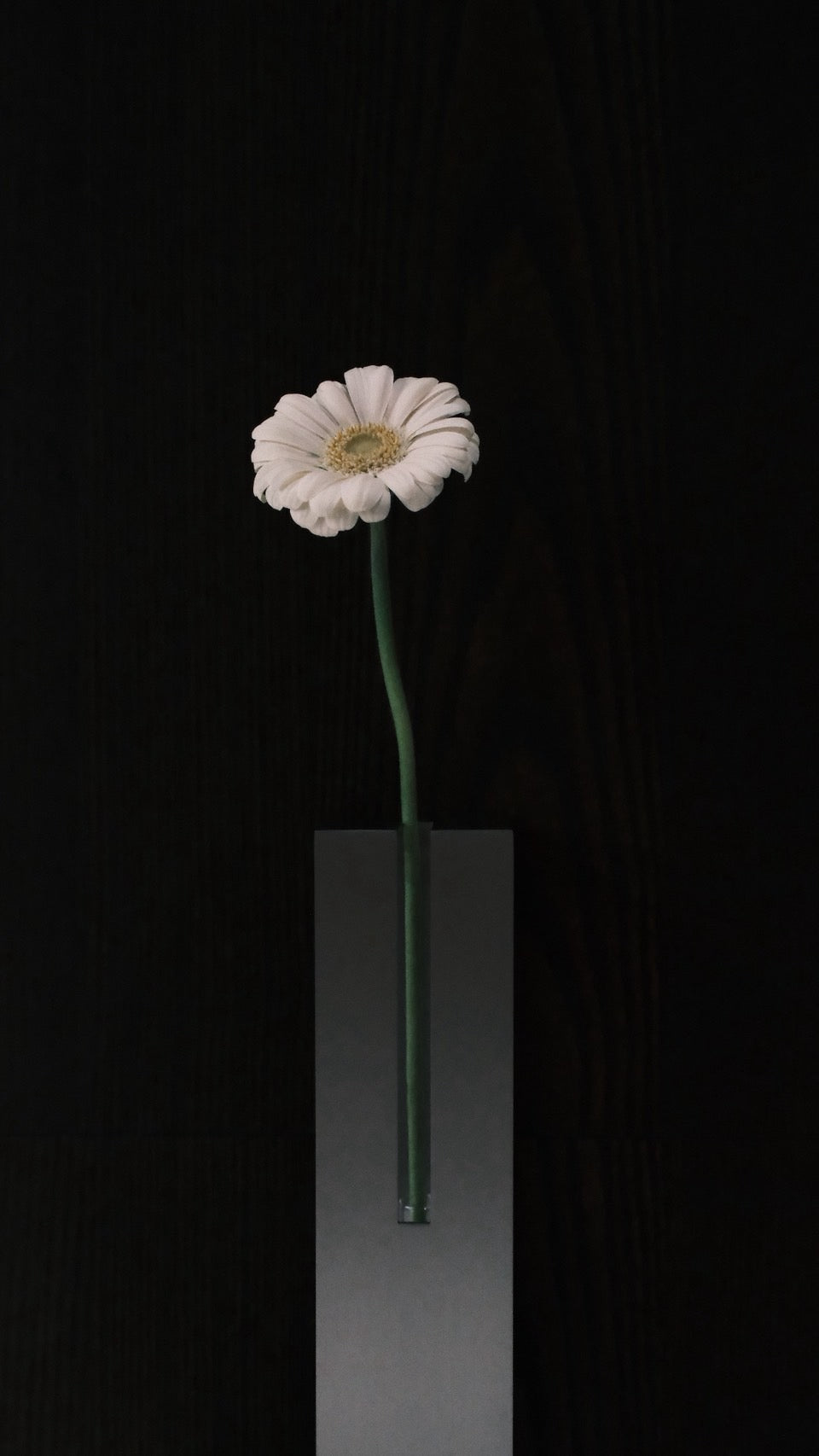 HALO｜Vase 01 花器