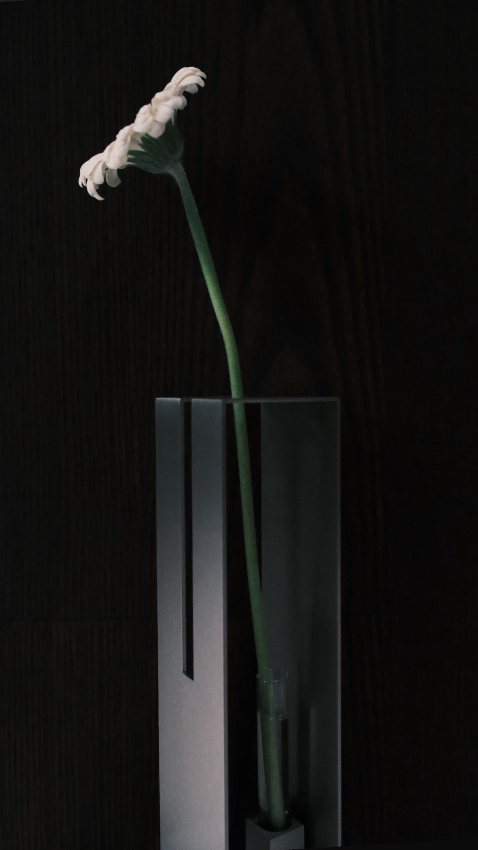 HALO｜Vase 01 花器