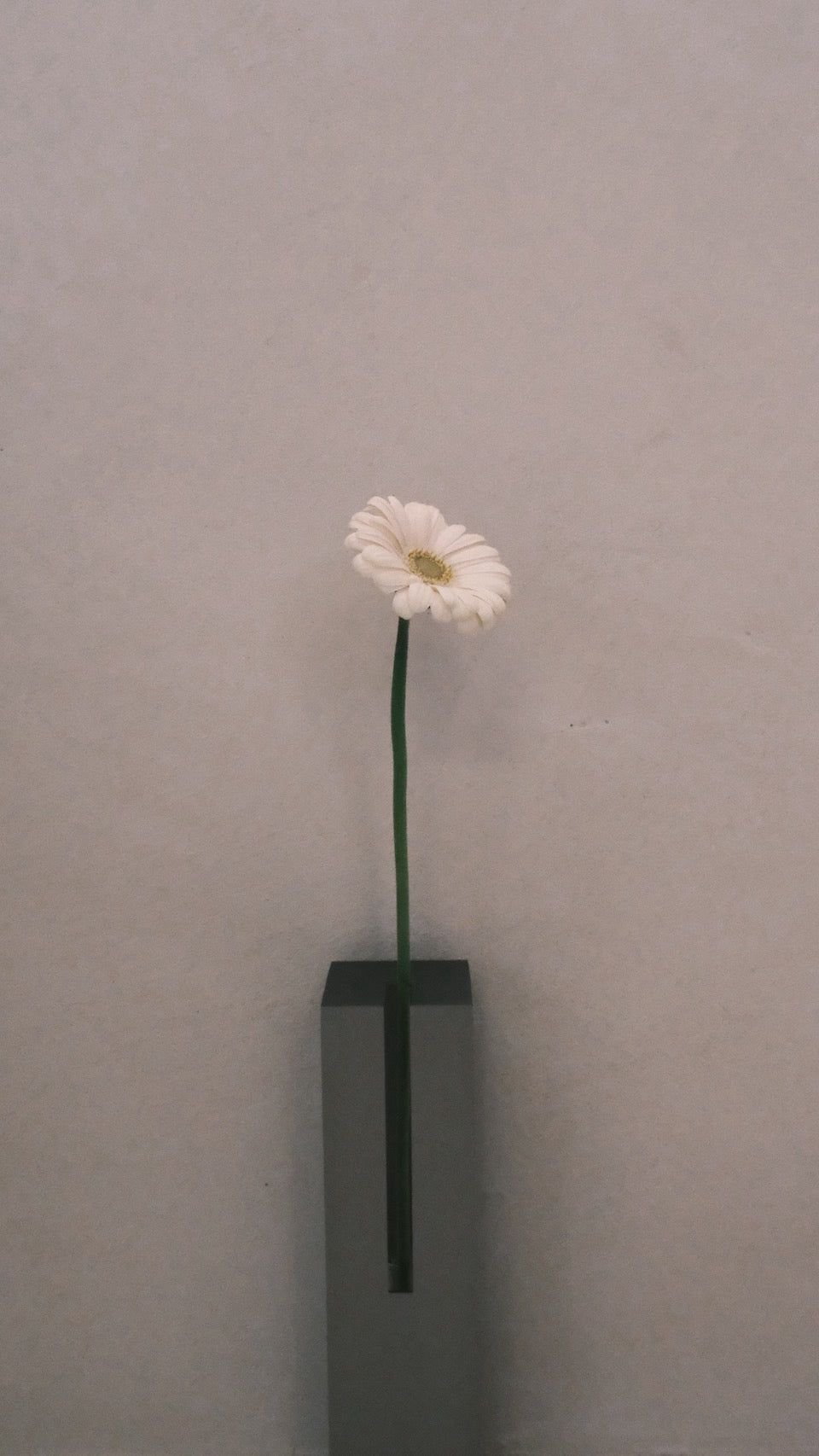 HALO｜Vase 01 花器